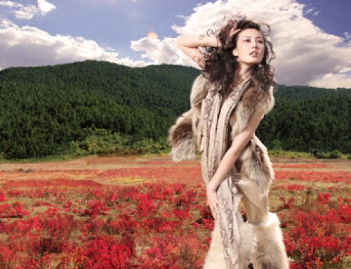 Hong Kong International Fur and Fashion Fair  15-18 February 2019